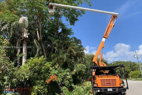 Tree Services in Miami, Miami FL 33183