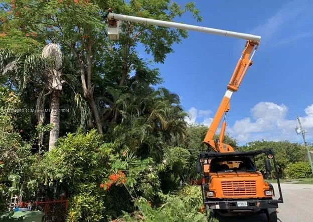 Tree Services in Miami, Miami FL 33183