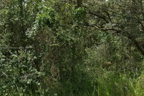 unknown Pecan Radial, Ocala FL 34472