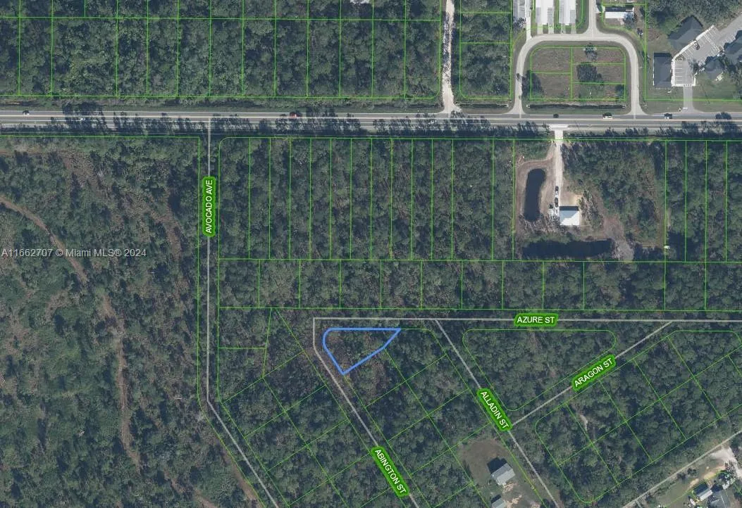 2124 Abington Street, Sebring FL 33875