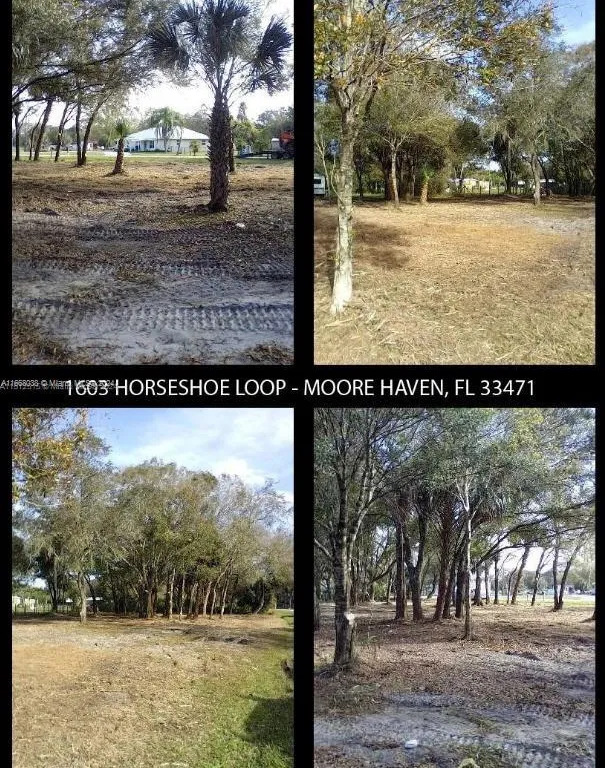 1603 HORSESHOE LOOP, Moore Haven FL 33471