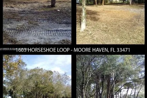 1603 HORSESHOE LOOP, Moore Haven FL 33471