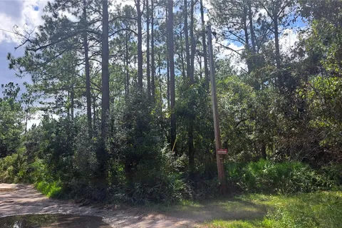 UNDETERMINED NE 42nd ST, Ocala FL 34488