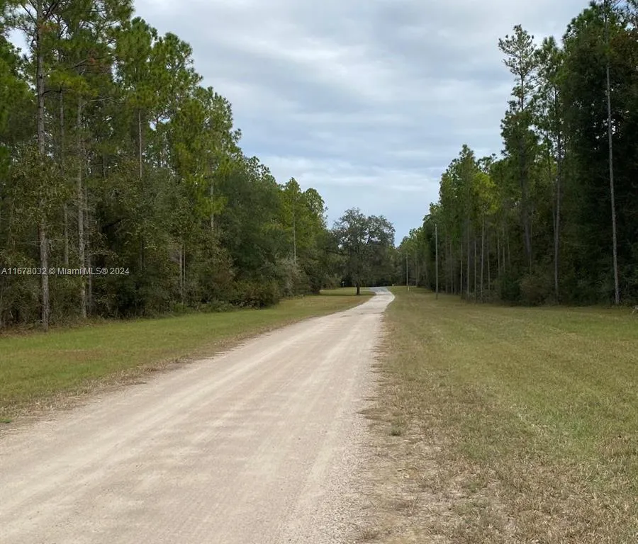 831 SE 116TH TERRACE, Williston FL 32696