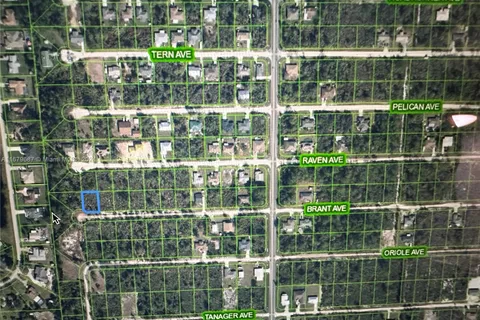 brant st Brant Avenue, Sebring FL 33870