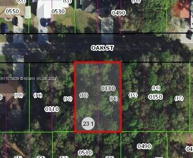 515 Oak Street, Inverness FL 34452