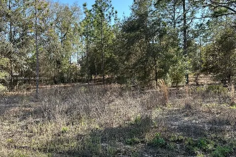 Southwest Admiral Landing Dr Dunnellon., Ocala FL 34431