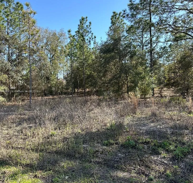 Southwest Admiral Landing Dr Dunnellon., Ocala FL 34431