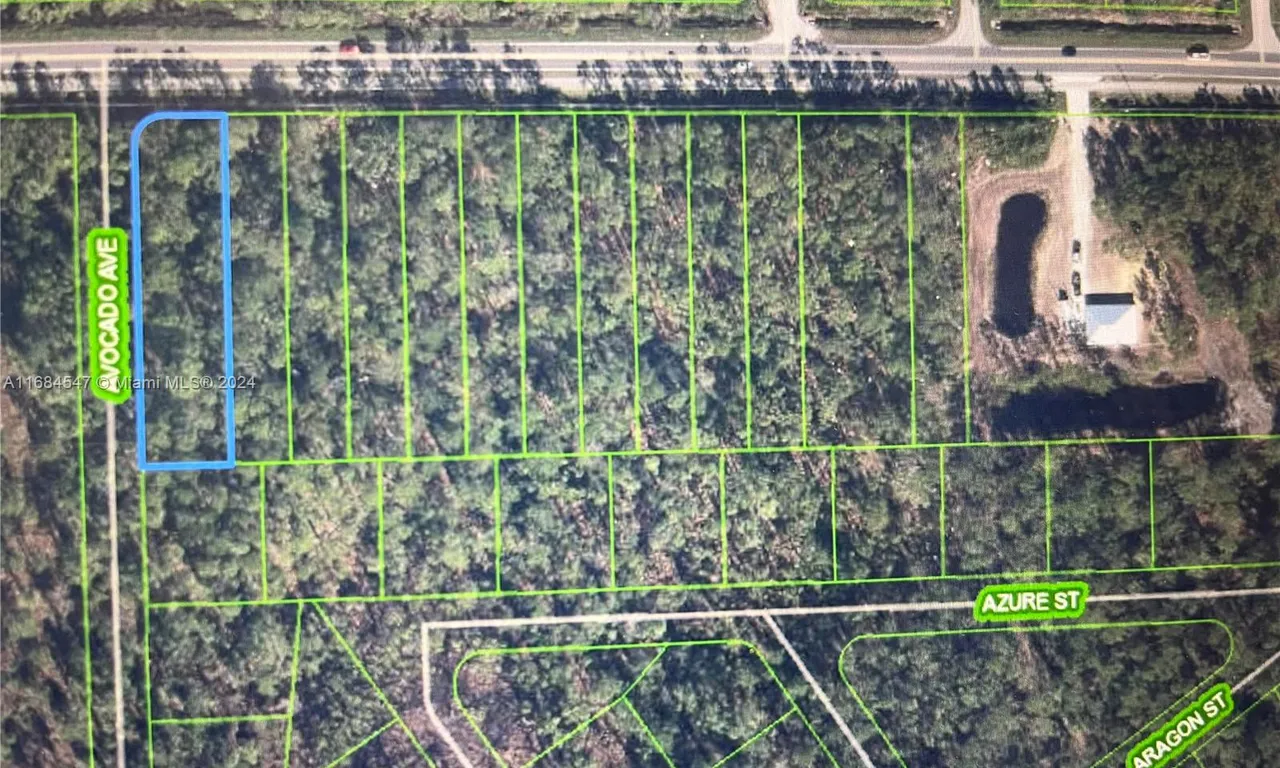 2681 Hammock Rd, Sebring FL 33872