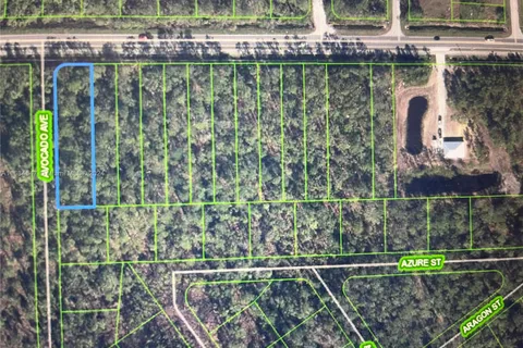 2681 Hammock Rd, Sebring FL 33872