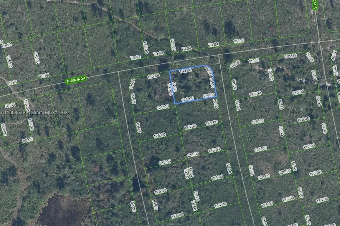 4739 Obispo Ave, Sebring FL 33872