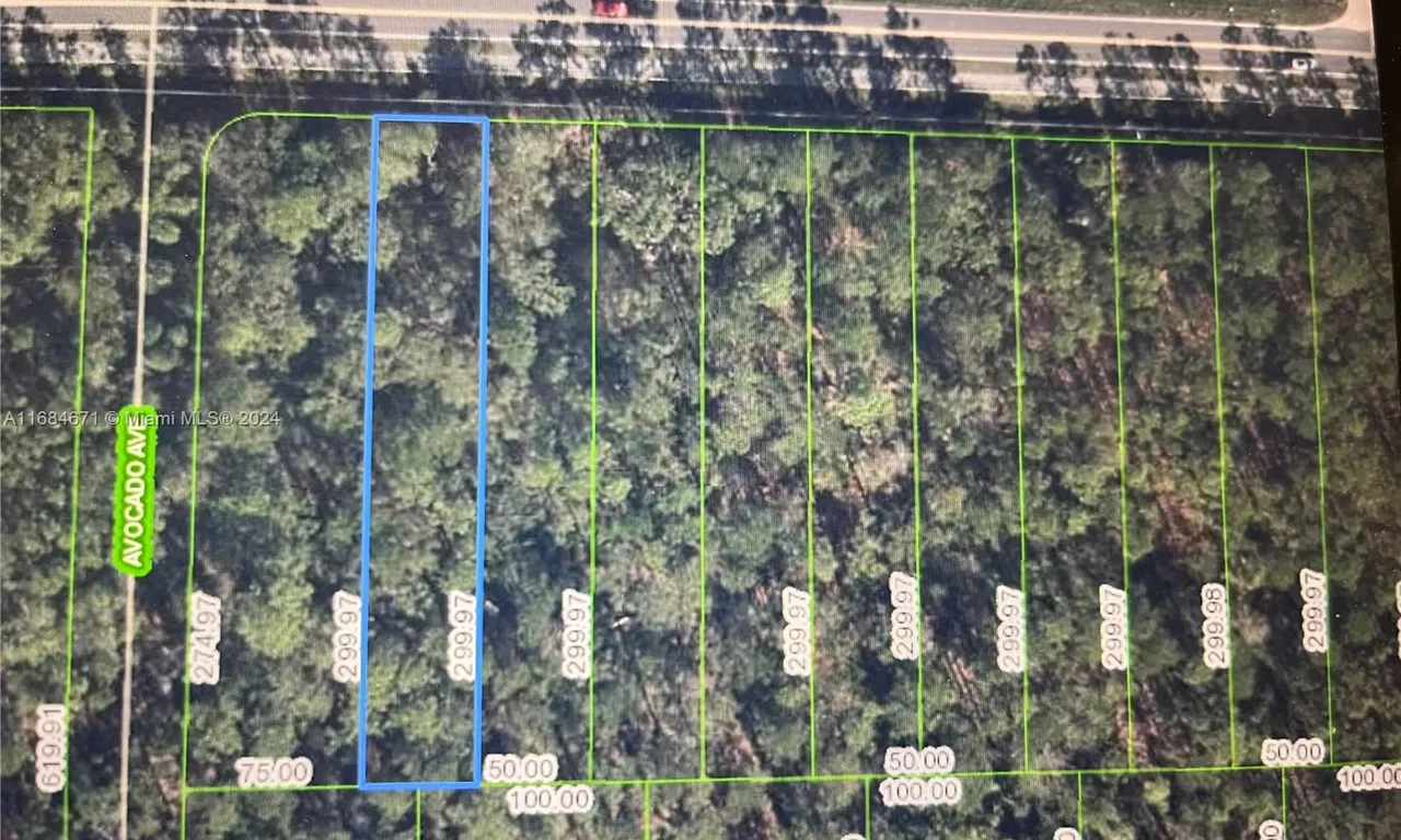 2667 Hammock Rd, Sebring FL 33872