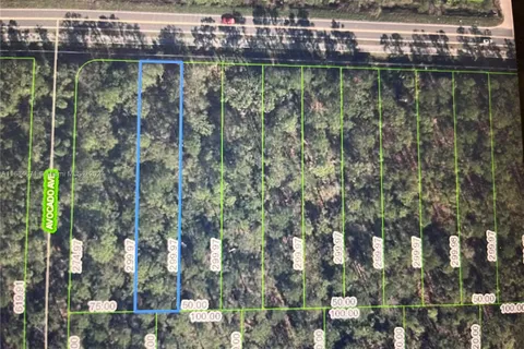 2667 Hammock Rd, Sebring FL 33872