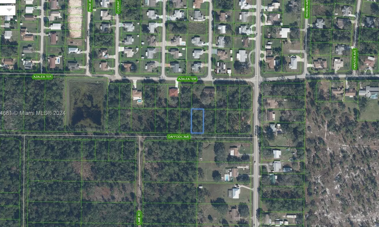 1720 Daffodil Avenue, Sebring FL 33875