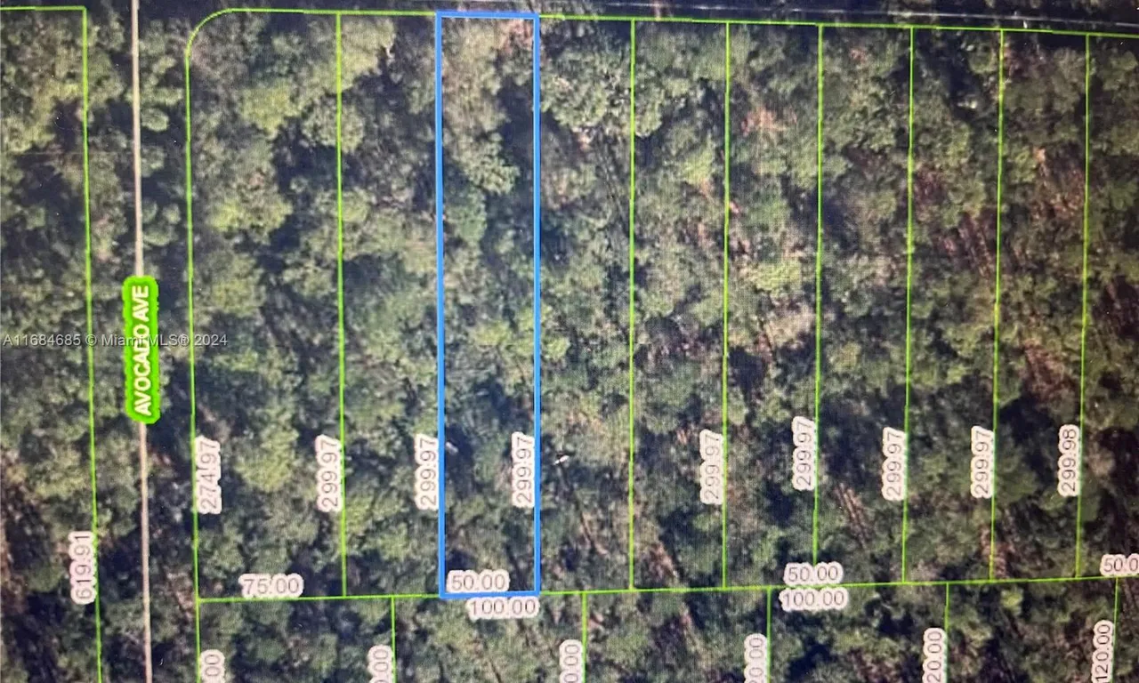 2651 Hammock Rd, Sebring FL 33872