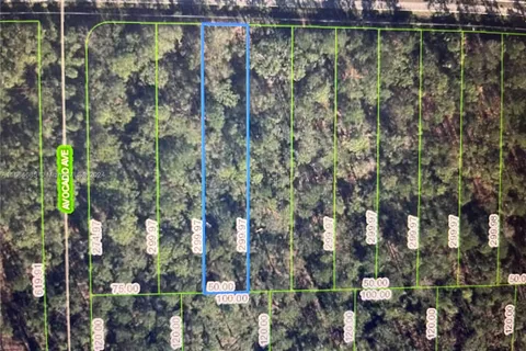 2651 Hammock Rd, Sebring FL 33872