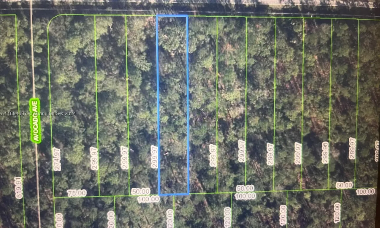 2637 Hammock Rd, Sebring FL 33872