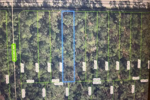 2637 Hammock Rd, Sebring FL 33872