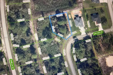 5539 Savona Dr., Sebring FL 33872