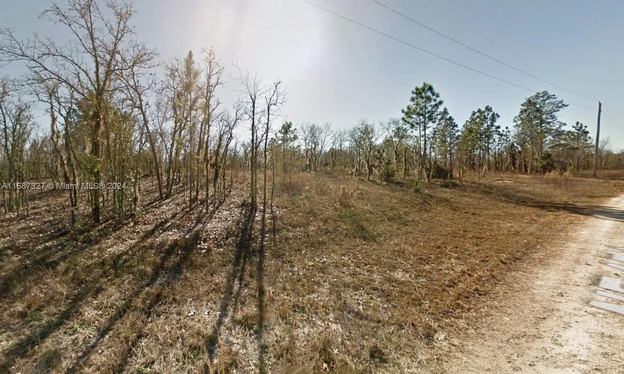 Lot 23 NE 15th Ln, Williston FL 32696