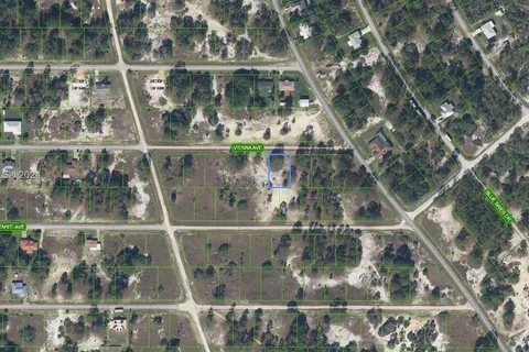 323 Vienna Ave, Lake Placid FL 33852