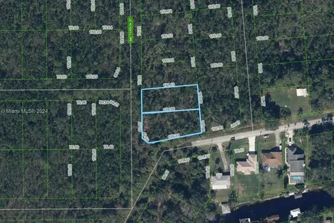 601-603 Waterson Street, Lake Placid FL 33852