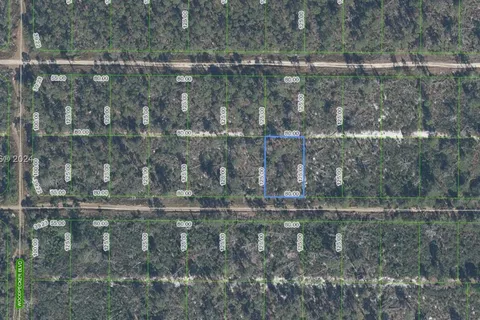 448 Parrot Avenue, Sebring FL 33870