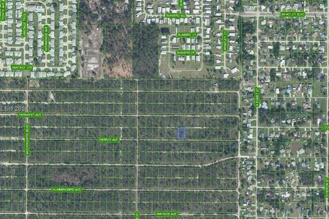 448 Parrot Avenue, Sebring FL 33870