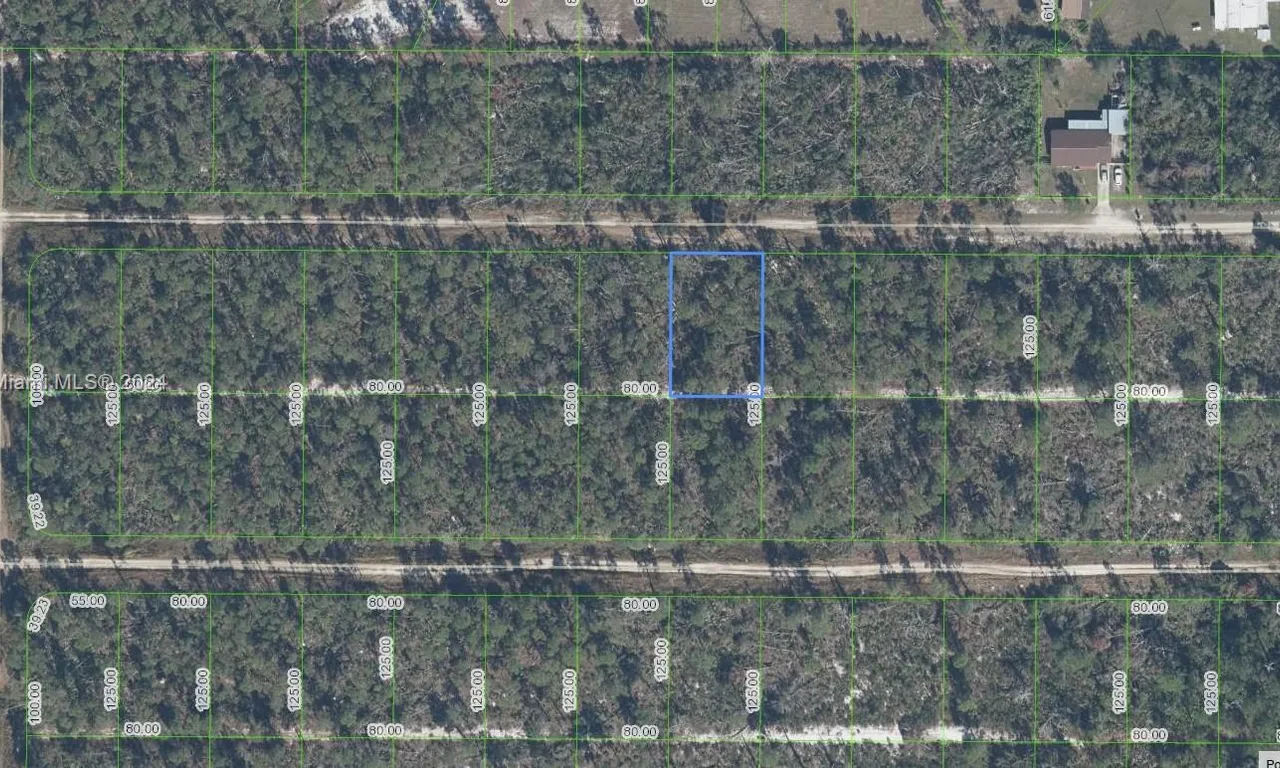 443 Nightingale Ave, Sebring FL 33870