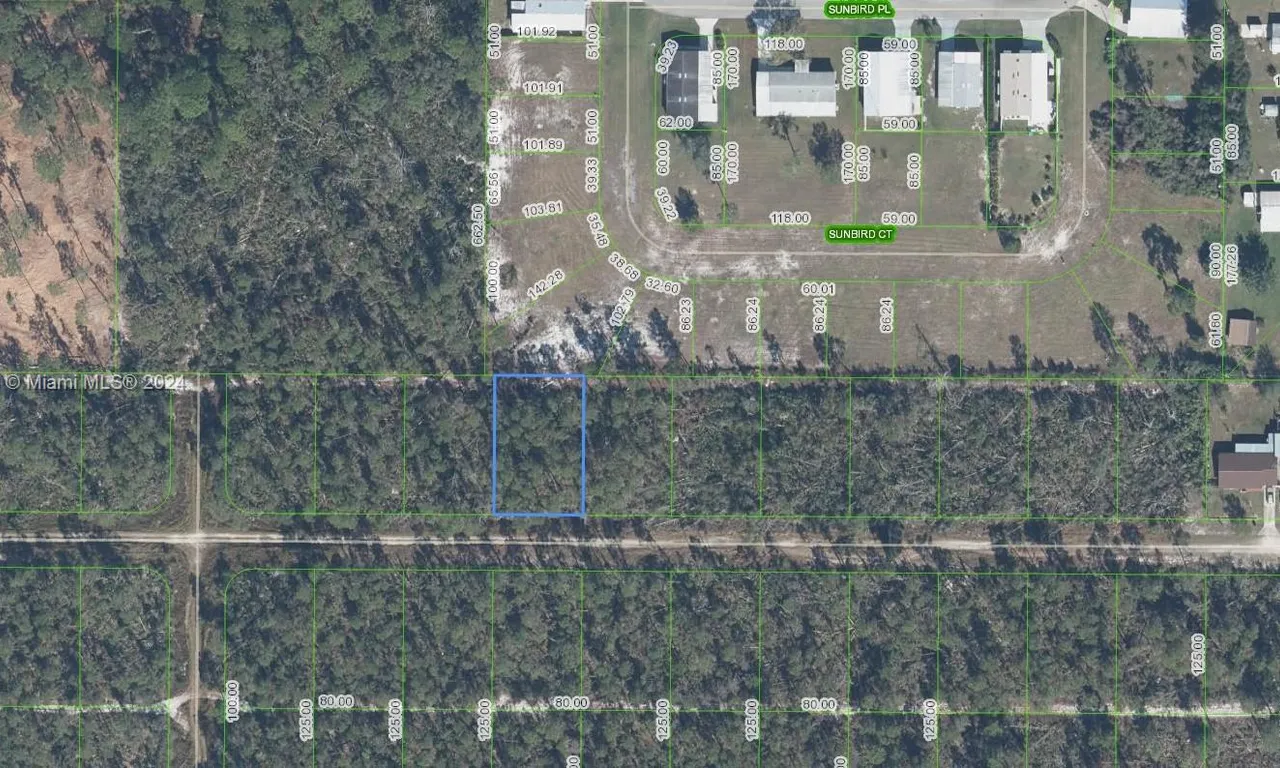 466 Nightingale Ave, Sebring FL 33870