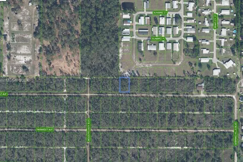 466 Nightingale Ave, Sebring FL 33870