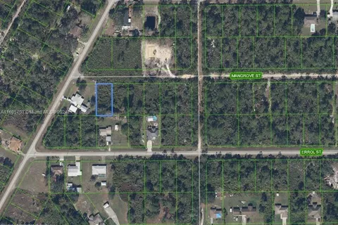 1411 Mangrove Street, Lake Placid FL 33852