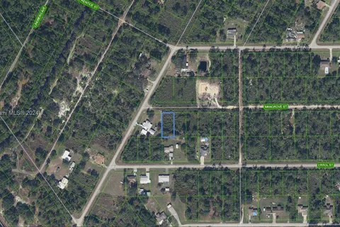 1411 Mangrove Street, Lake Placid FL 33852