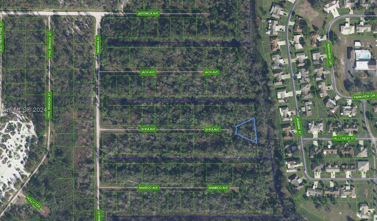 3000 Shea Avenue, Lake Placid FL 33852