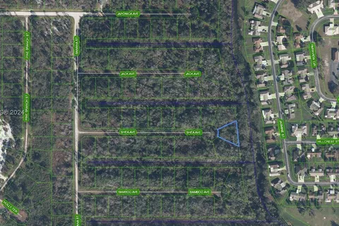 3000 Shea Avenue, Lake Placid FL 33852