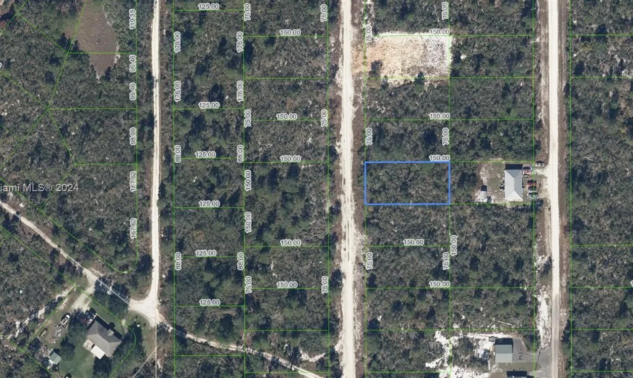 127 Patton Ave, Lake Placid FL 33852