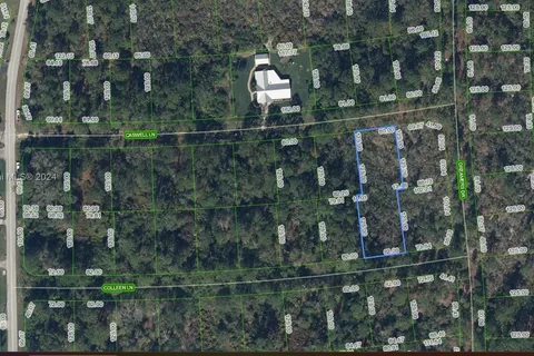 233 Daisy Lane, Lake Placid FL 33852