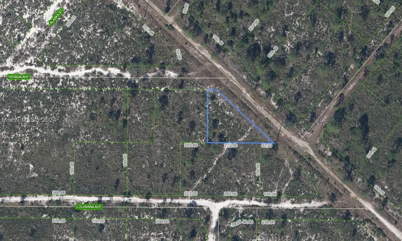 536 Nevada Avenue, Lake Placid FL 33852