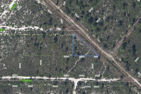 536 Nevada Avenue, Lake Placid FL 33852