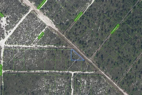 536 Nevada Avenue, Lake Placid FL 33852