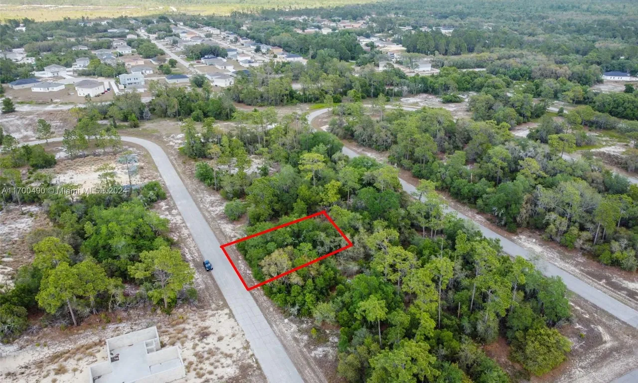 1305 HOMOSASSA CT, Other City - In The State Of Florida FL 34759