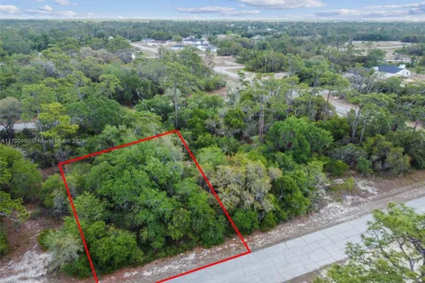 1305 HOMOSASSA CT, Other City - In The State Of Florida FL 34759