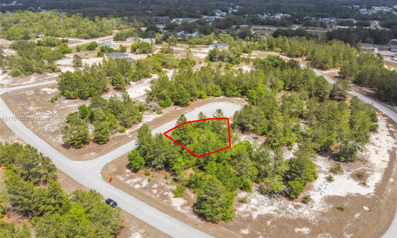 602 HOMOSASSA WAY, Other City - In The State Of Florida FL 34759