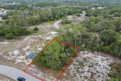 1315 HOMOSASSA CT, Other City - In The State Of Florida FL 34759