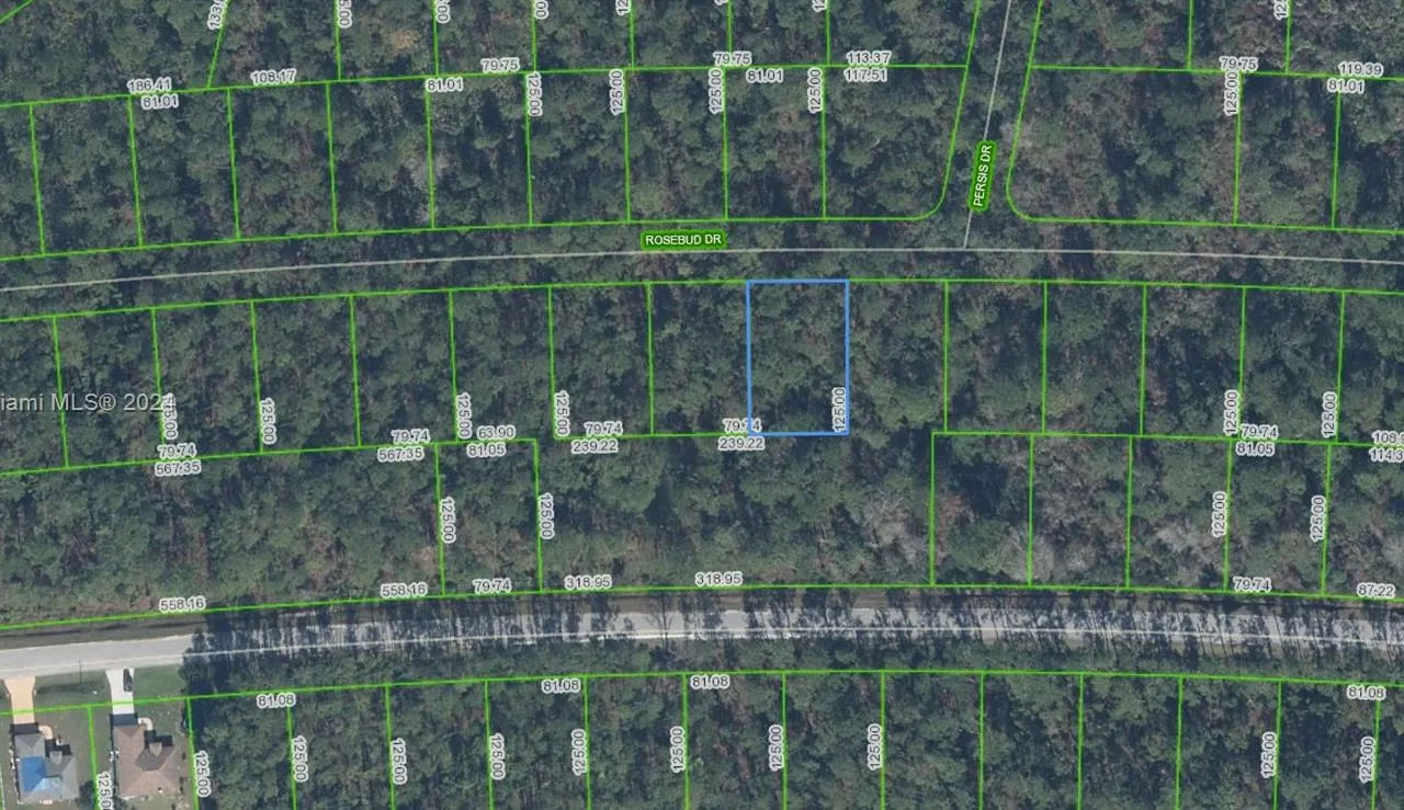 8007 Rosebud Drive, Sebring FL 33872