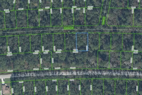 8007 Rosebud Drive, Sebring FL 33872