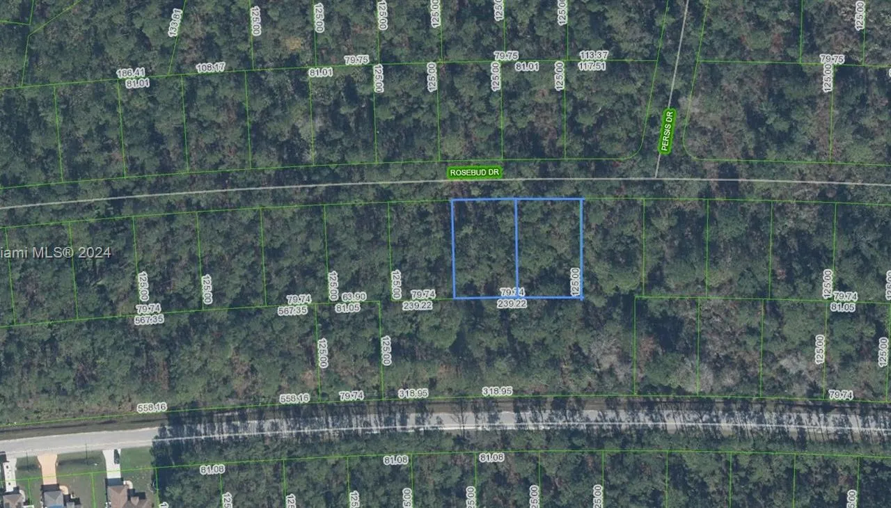 8007+8013 Rosebud Drive, Sebring FL 33872