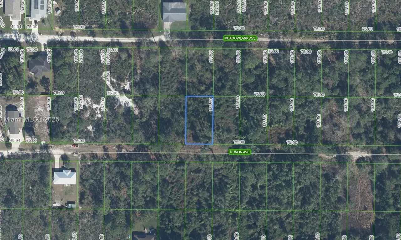 251 Dunlin Avenue, Sebring FL 33870