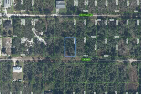 251 Dunlin Avenue, Sebring FL 33870