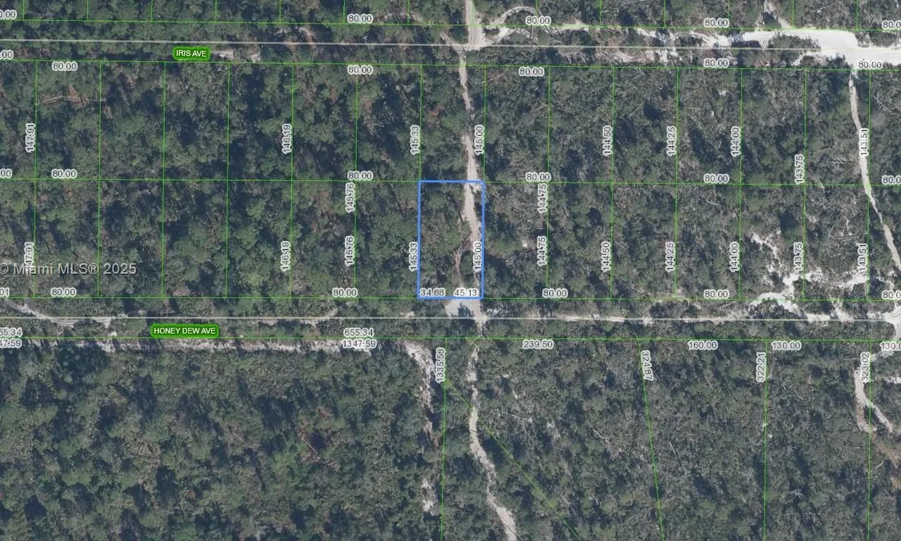 2300 Honey Dew Avenue, Sebring FL 33875